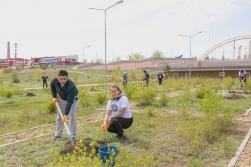 Пополнение на Аллее Дружбы