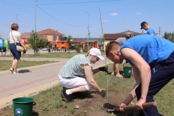 Полсотни деревьев высадили активисты «Ассамблея жастары» в Костанайском районе
