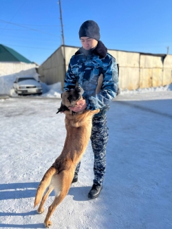 С благодарностью к братьям нашим меньшим...