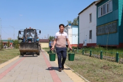 Полсотни деревьев высадили активисты «Ассамблея жастары» в Костанайском районе