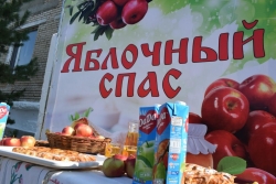 15 кг яблок и целый час веселья…