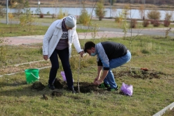 Новая жизнь Аллеи Дружбы