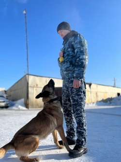 С благодарностью к братьям нашим меньшим...