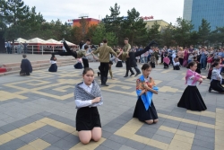 Песни о птицах и о войне