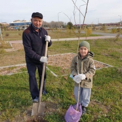 Новая жизнь Аллеи Дружбы