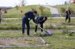 Новая жизнь Аллеи Дружбы