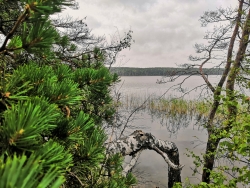 25 новых друзей, 17 кг дорожной пыли и море знаний